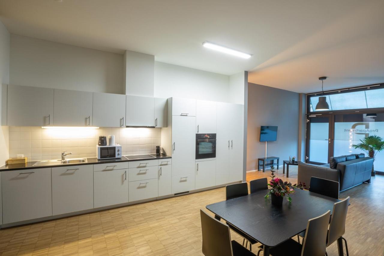 Proapartment Basilea Exterior foto